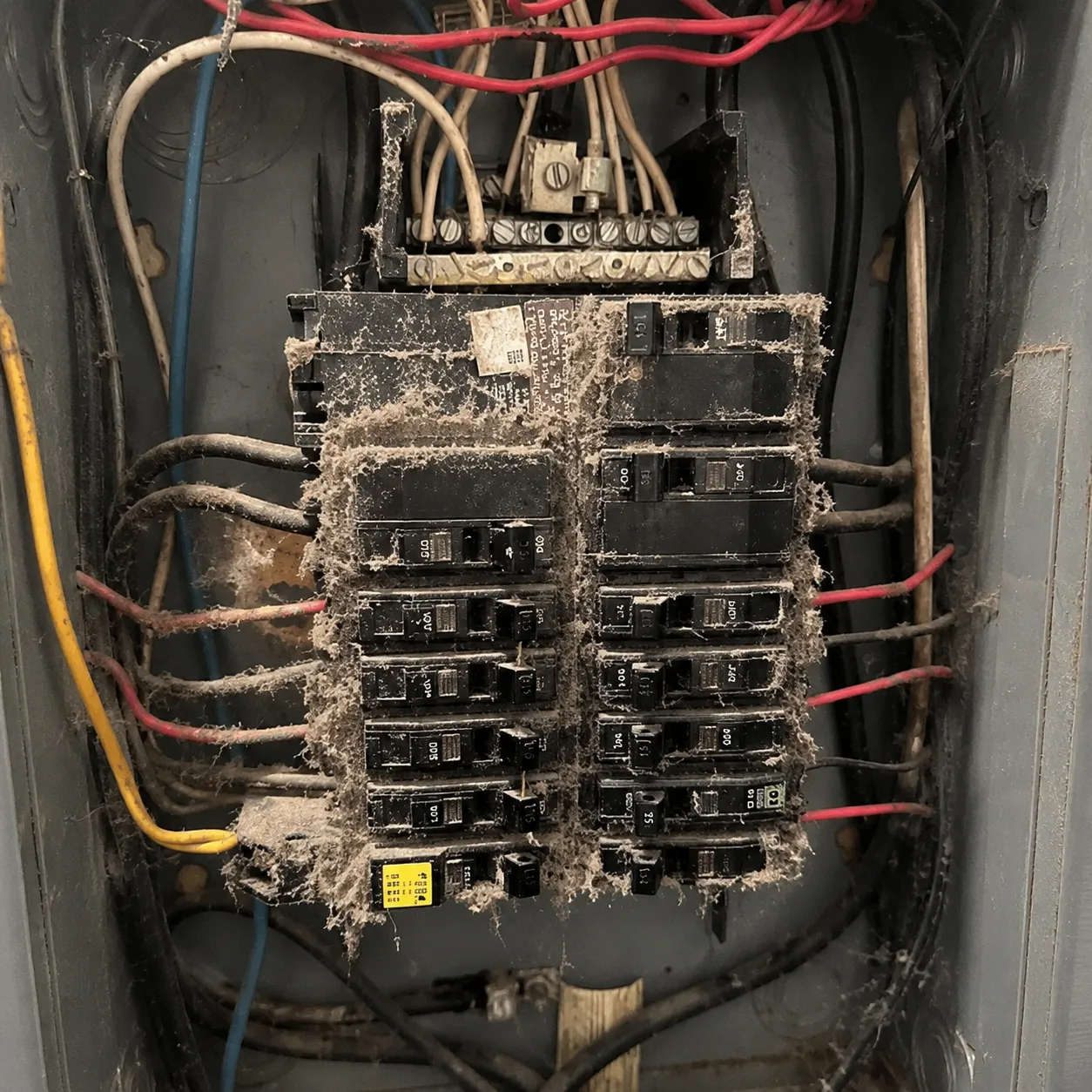 Electrical Panel Upgrades before project 3